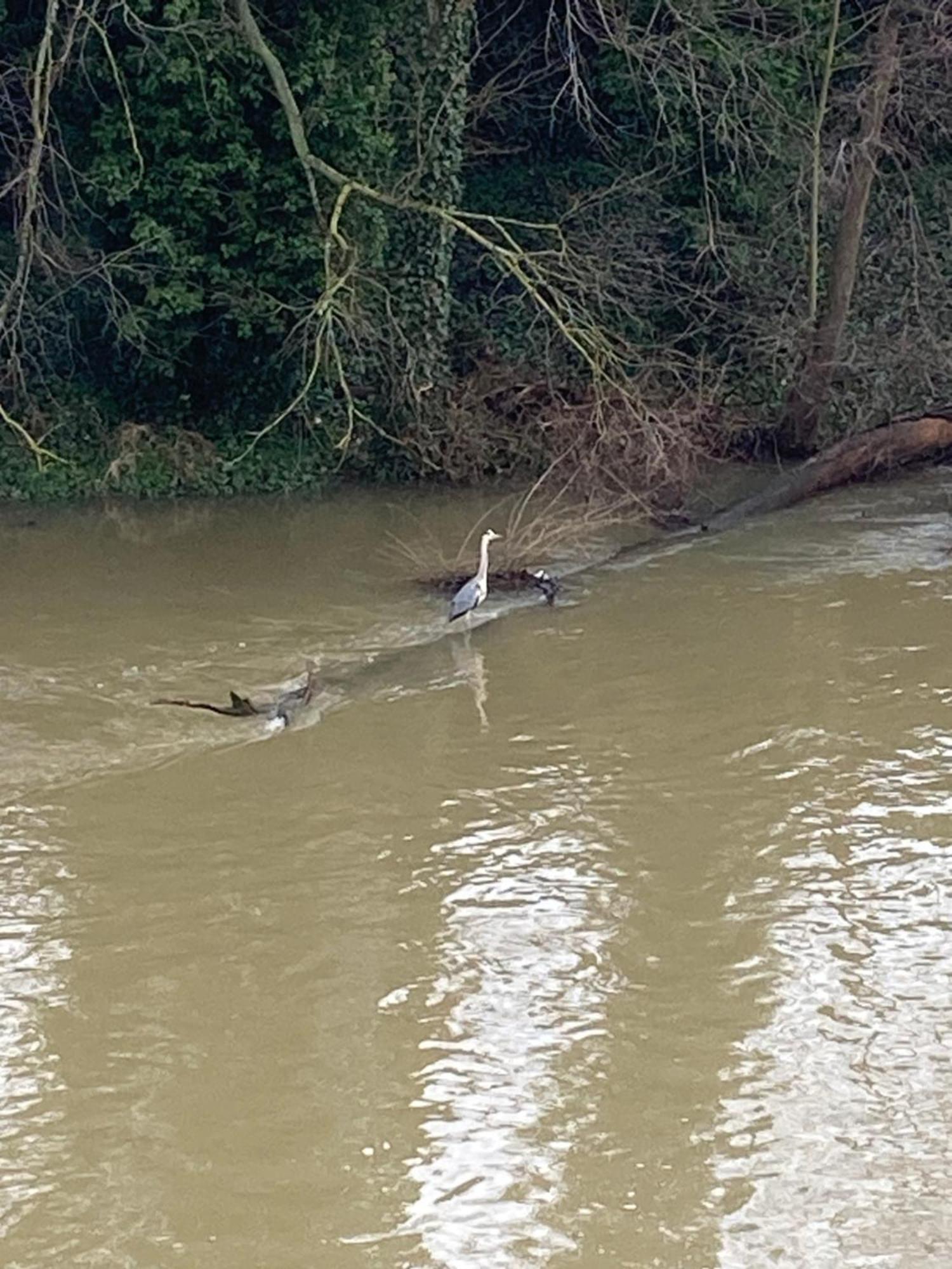 Ferienwohnung Villa Am Fluss Lauf an der Pegnitz Zewnętrze zdjęcie